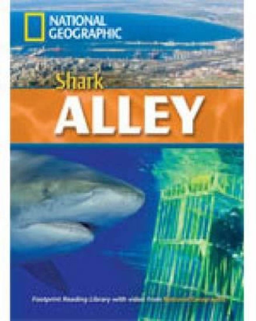 NGR : B2 SHARK ALLEY (+ DVD)