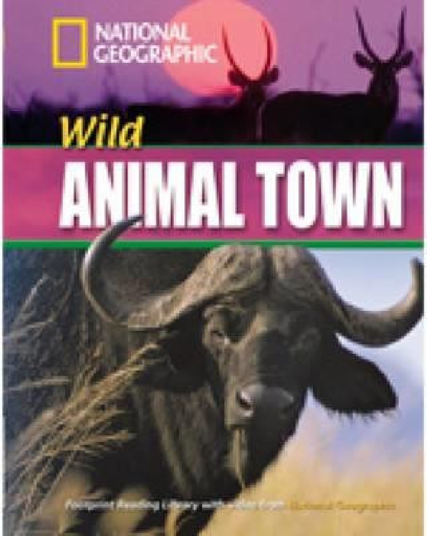 NGR : B1 WILD ANIMAL TOWN (+ DVD)