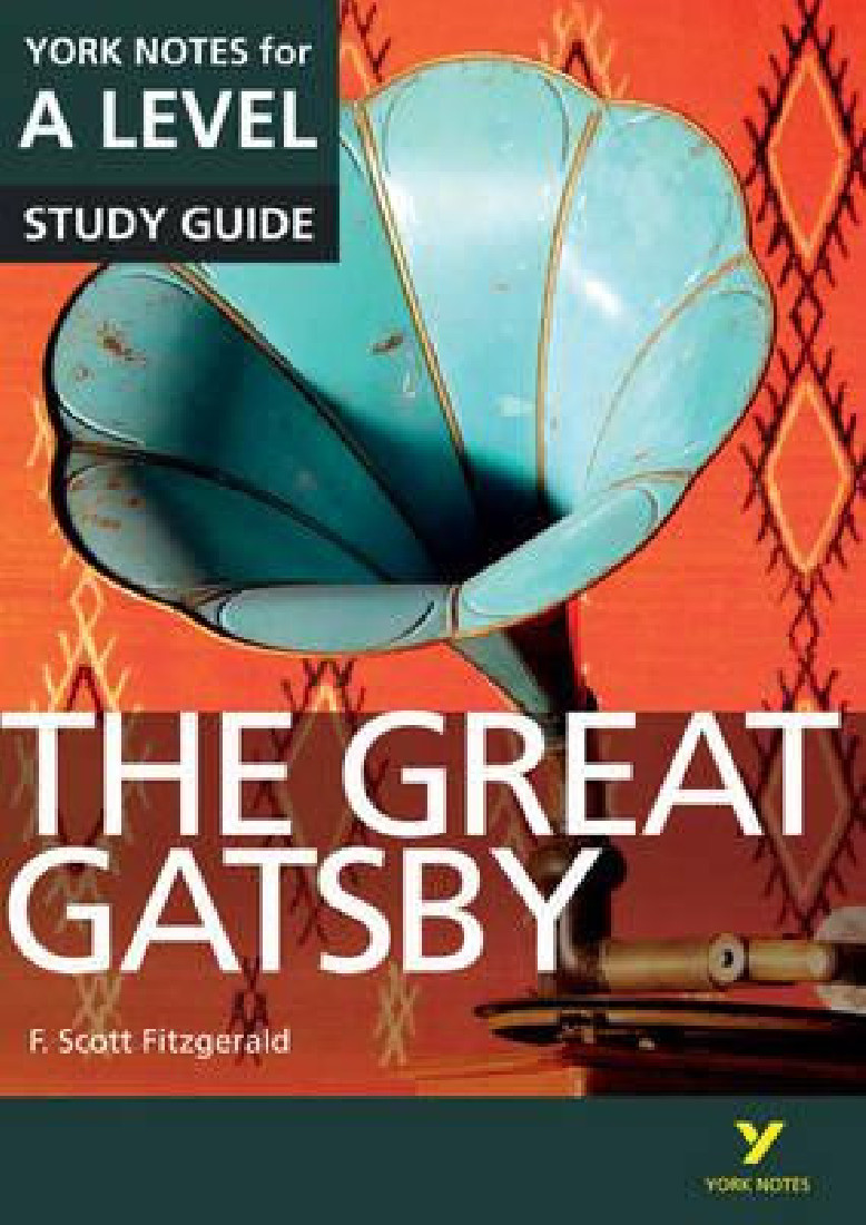 THE GREAT GATSBY: NEW YORK NOTES FOR A- LEVEL PB