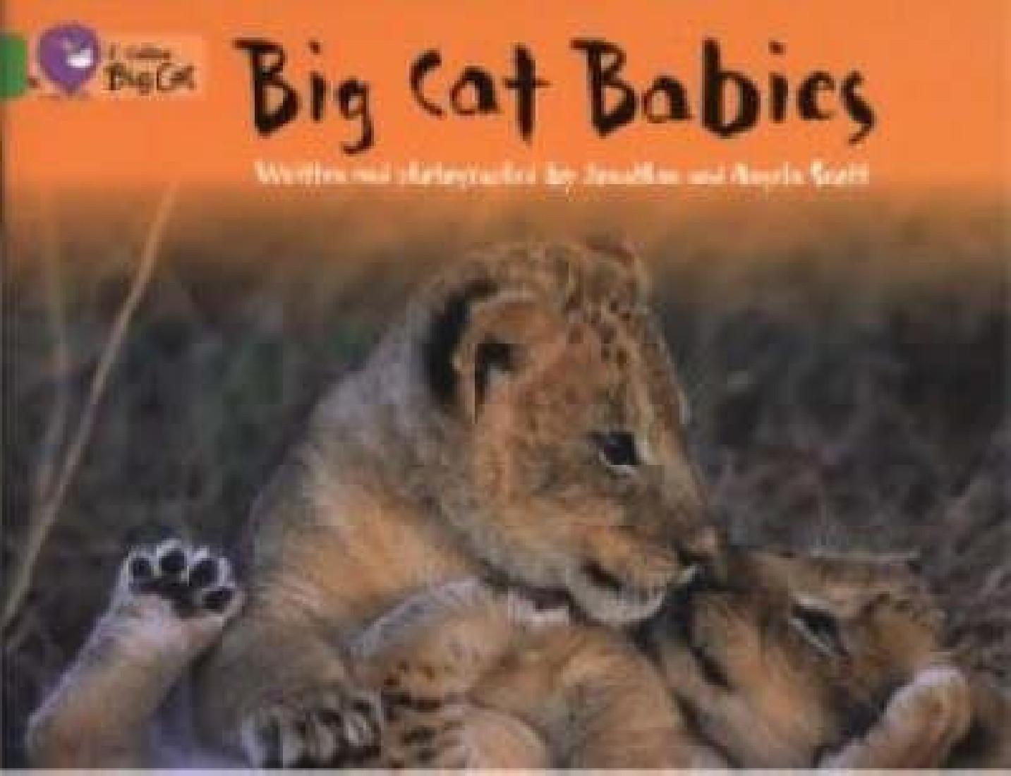 COLLINS BIG CAT : BIG CAT BABIES Band 05/Green PB