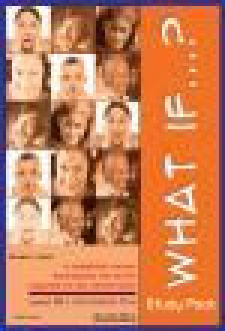 WHAT IF B1+ INTERMEDIATE COMPANION