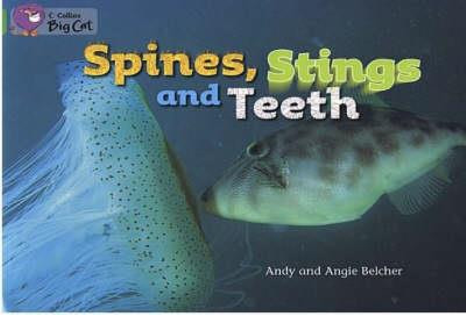 COLLINS BIG CAT : SPINES, STINGS AND TEETH Band 05/Green PB