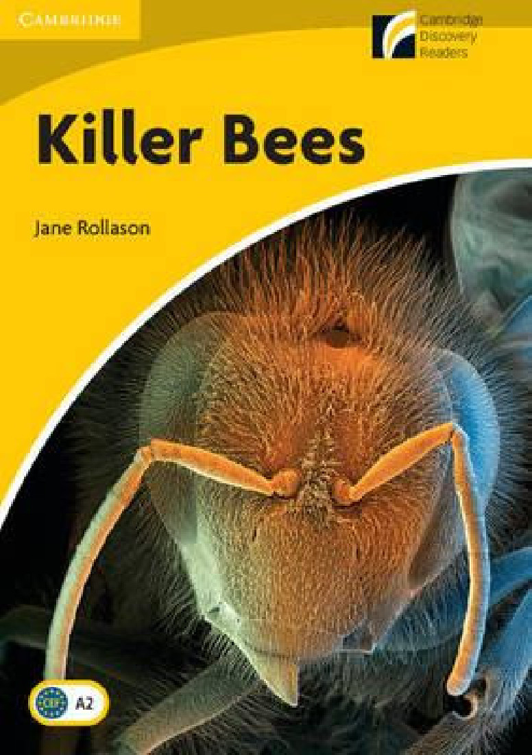 Cambridge Discovery Readers 2: KILLER BEES PB