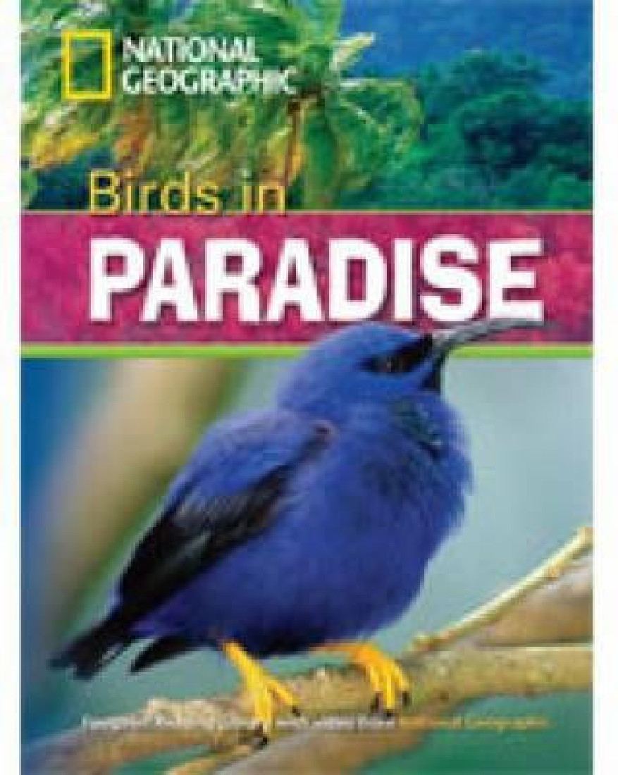 NGR : B1 BIRDS IN PARADISE (+ DVD)