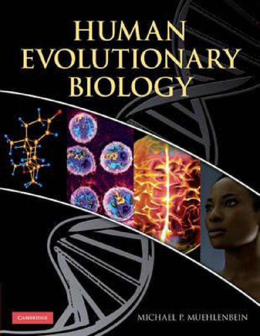HUMAN EVOLUTIONARY BIOLOGY