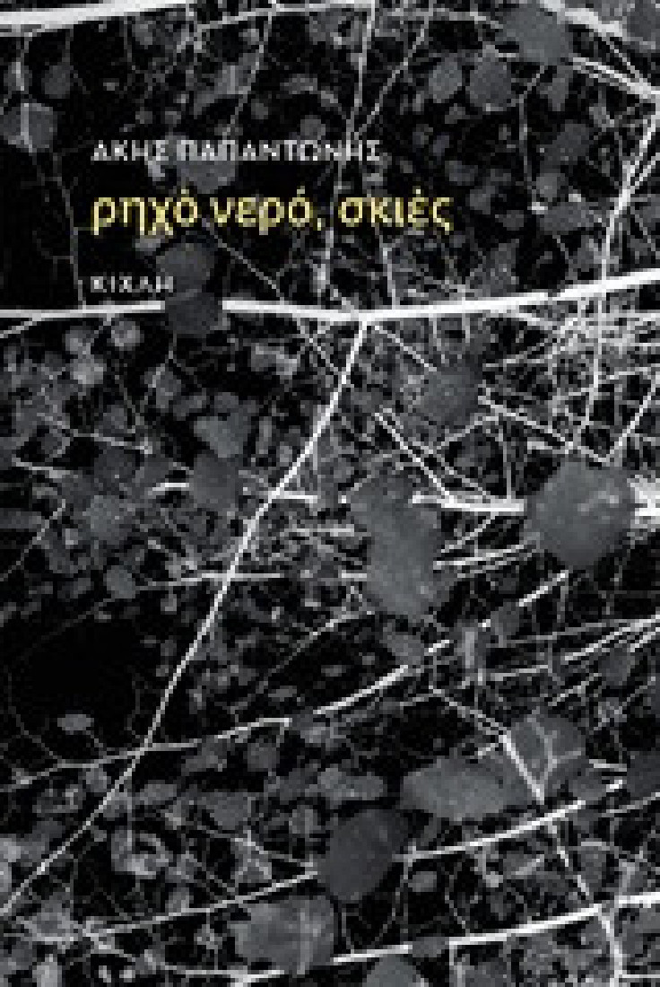 Ρηχό νερό, σκιές