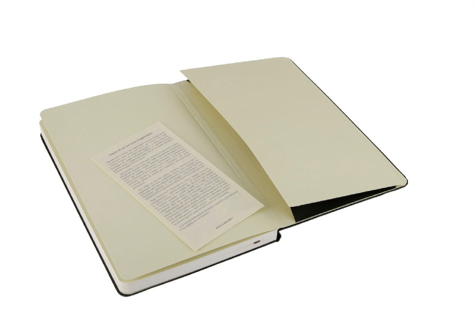 Moleskine Notebook Large 13x21, Sketchbook Black Hard Cover