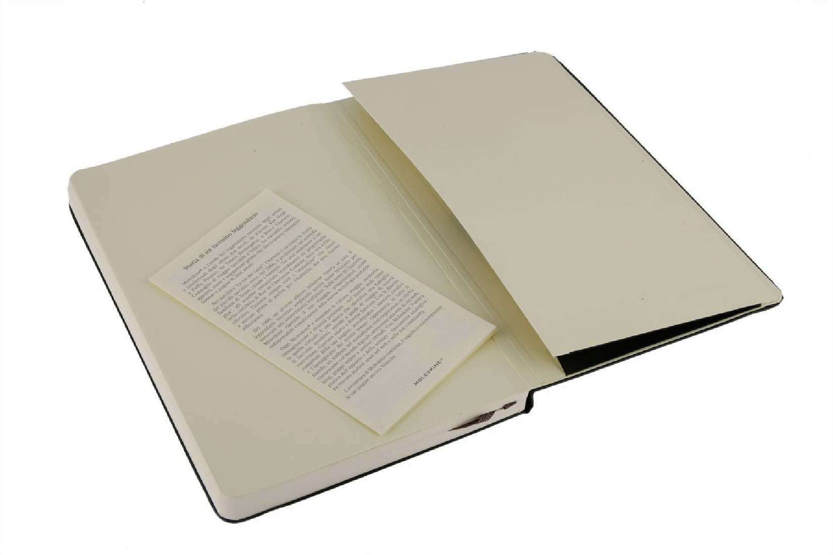 Notebook Large 13x21 Plain Black Hard Cover Moleskine.