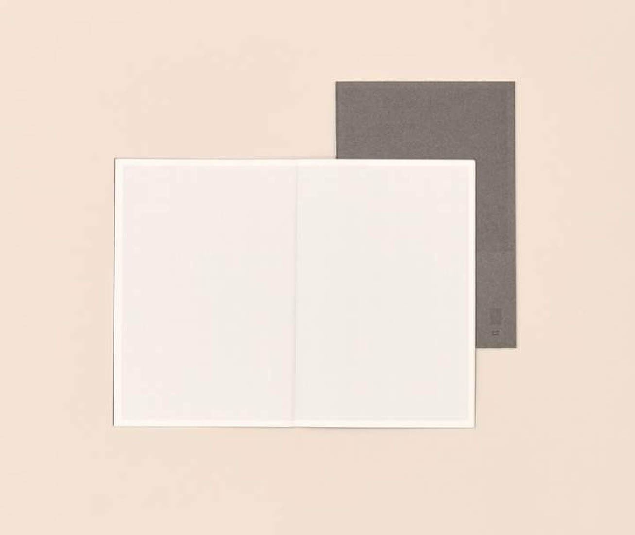 Paper Republic 2 x notebooks (xl) graph