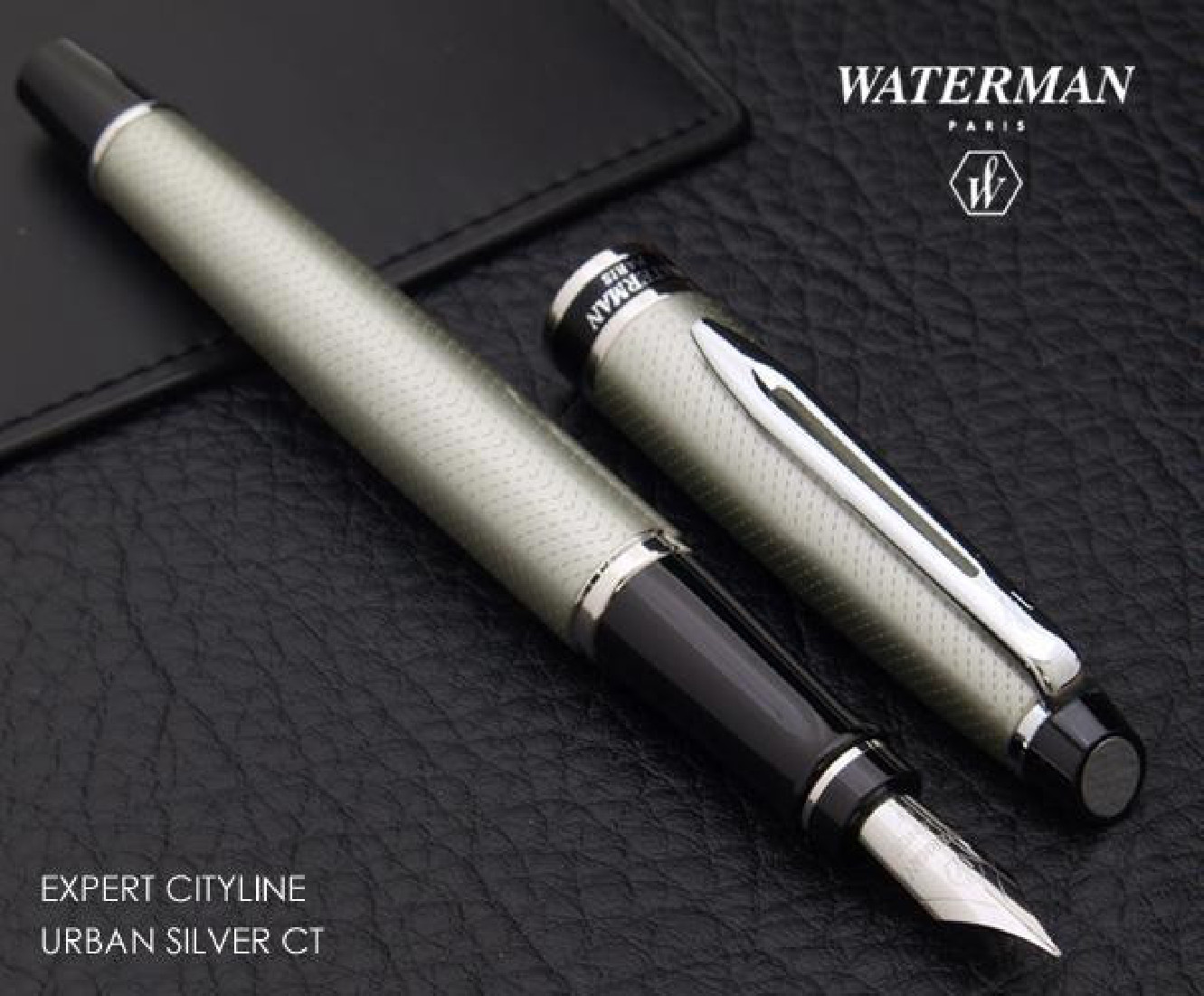 WATERMAN EXPERT CITY LINE SILVER CT FOUNTAIN PEN S0725880
