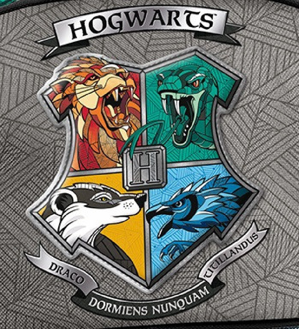 Τσάντα φαγητού Hogwarts 214311 Harry Potter