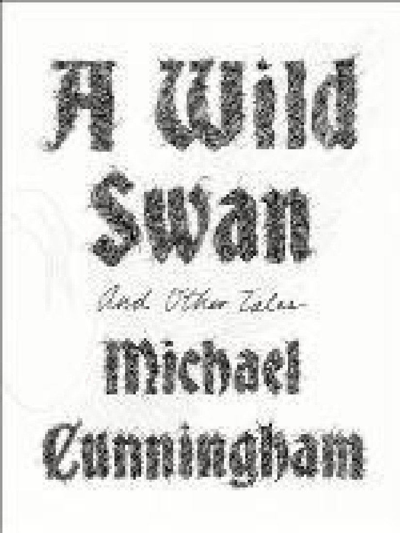 A WILD SWAN :AND OTHER TALES HC