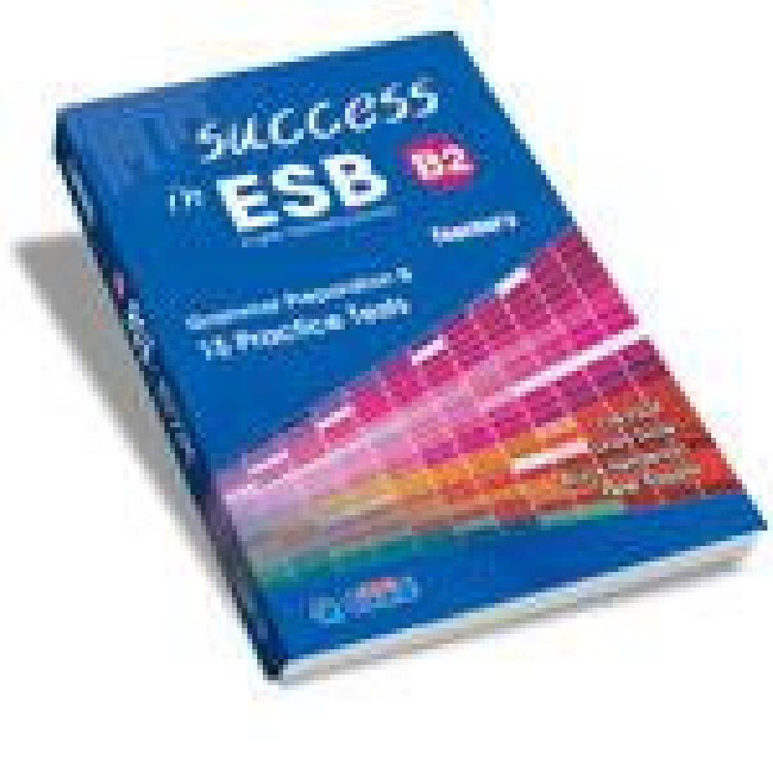 SUCCESS IN ESB B2