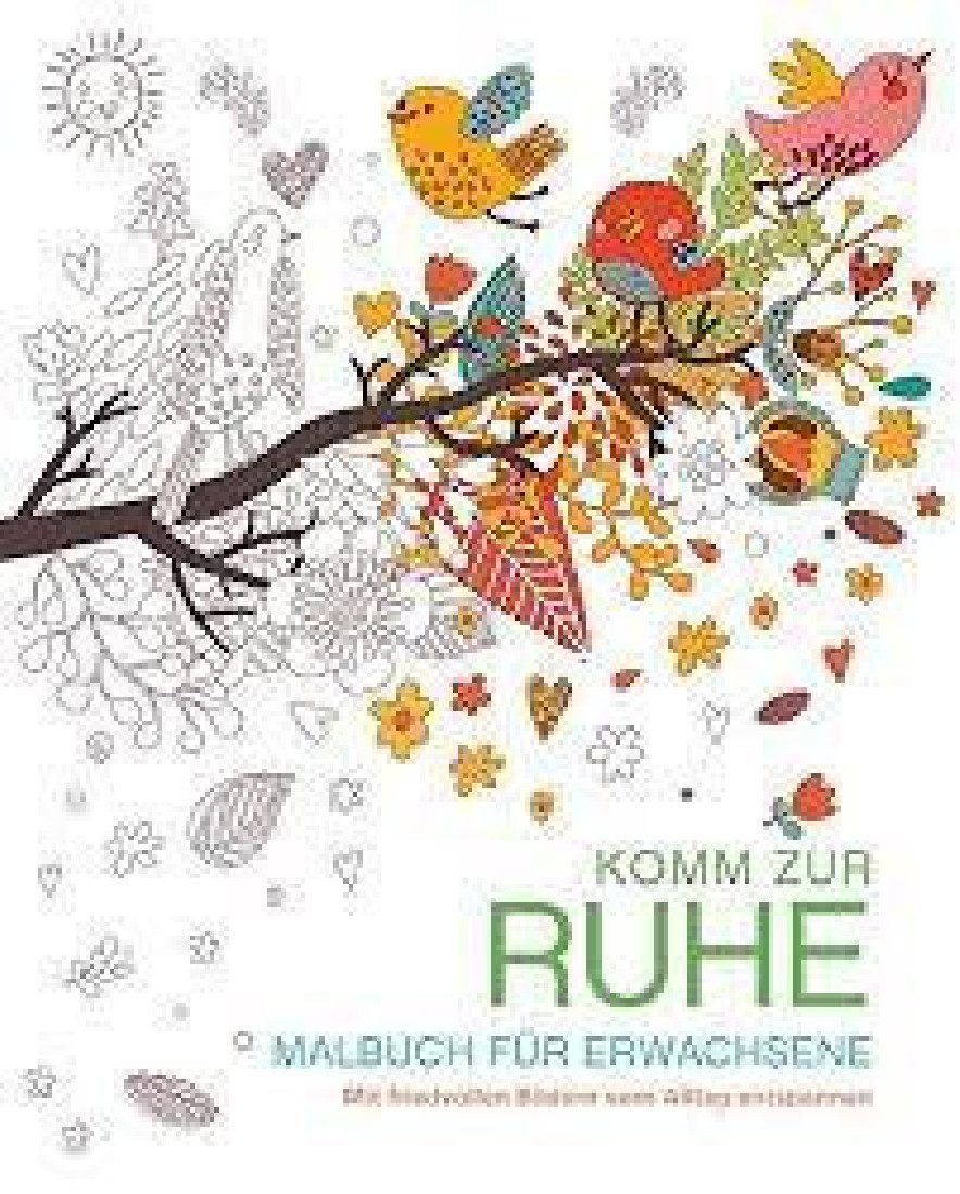 MALBUCH FUR ERWACHSENE: KOMM ZUR RUHE: MIT FRIEDVOLLEN BILDERN VOM ALLTAG ENTSPANNEN  TASCHENBUCH