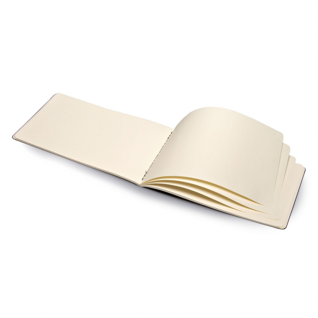 Moleskine art plus sketch album large 13x21 black