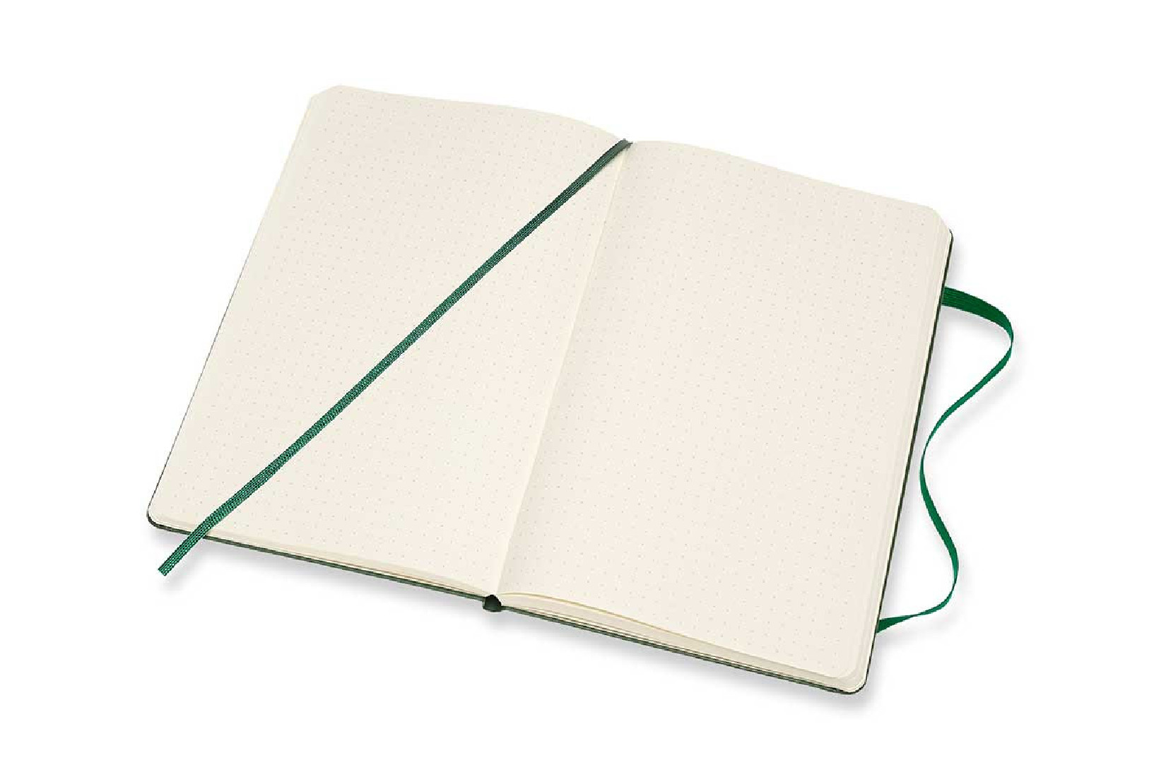 Notebook Large 13x21 Dotted Myrtle Green Hard Cover Moleskine M