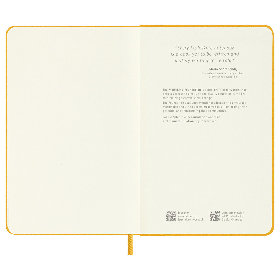 Notebook Extra Large 19x25 Silk Orange Yellow Ruled Hard Cover Moleskine