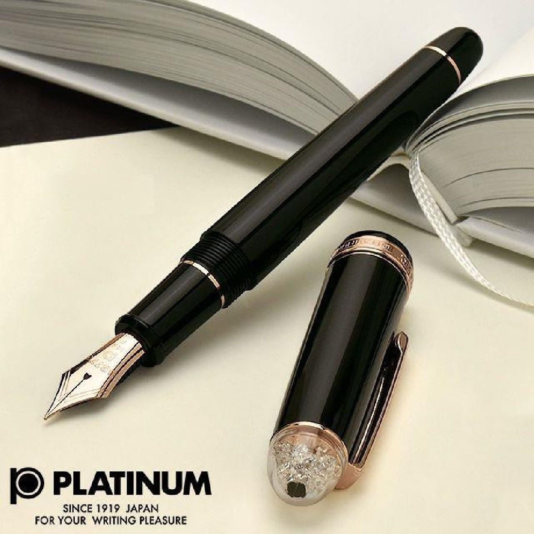 Platinum Century 3776 shape of heart fountain pen special edition 2022 PNB-31000