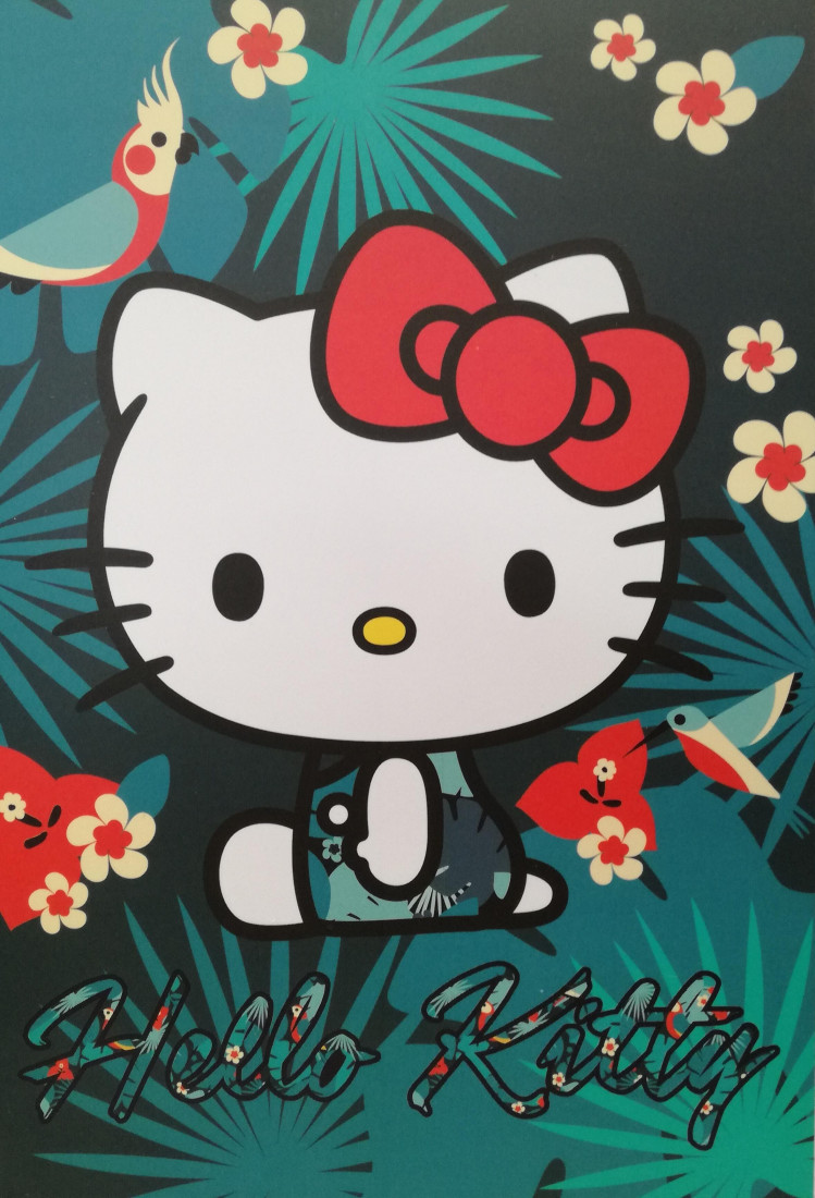 Κλασέρ 17x25 (2 κρίκοι) Aloha Hello Kitty