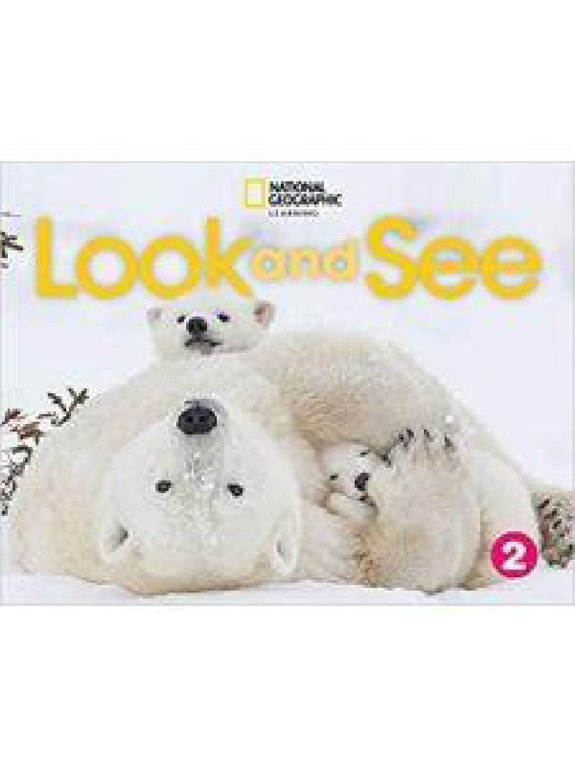 LOOK AND SEE LEVEL 2 BRE BIG BOOK ANTHOLOGY