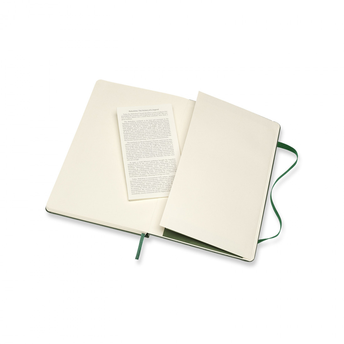 Moleskine notebook classic Myrtle Green Large 13x21 Hard cover Plain