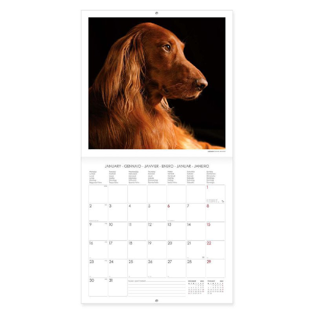 Legami Wall Calendar 2023 Dogs 30 x 29 cm