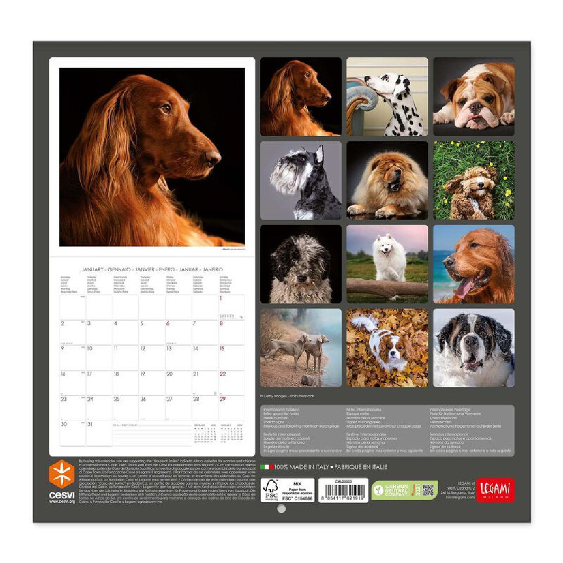 Legami Wall Calendar 2023 Dogs 30 x 29 cm