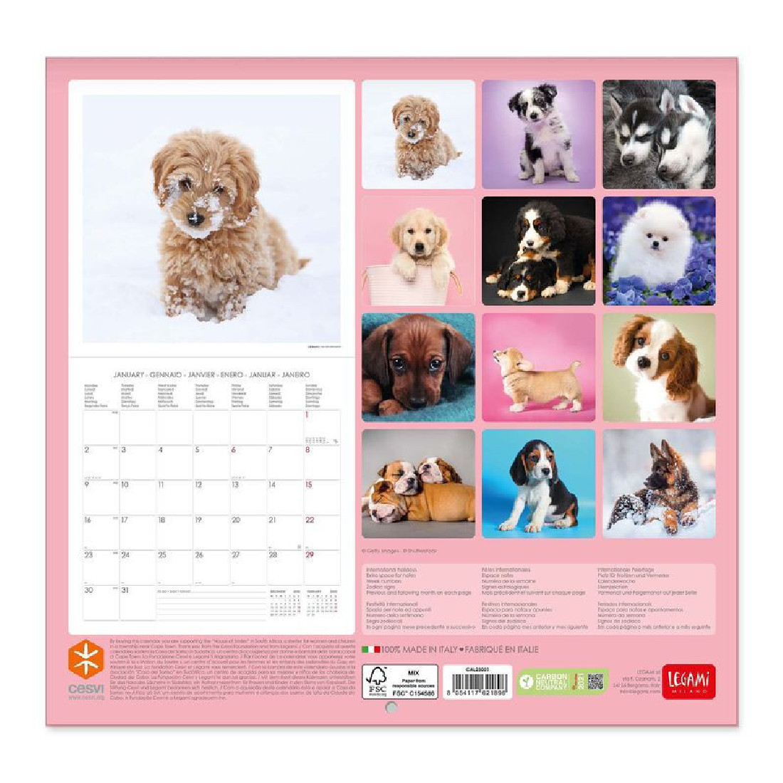 Legami Wall Calendar 2023 Puppies 30 x 29 cm