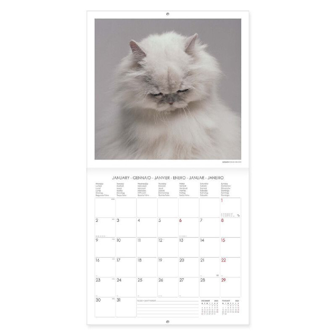 Legami Wall Calendar 2023 Cats 30 x 29 cm
