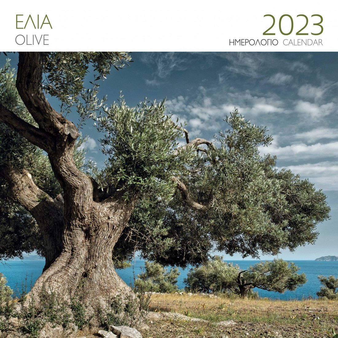 Μίλητος, Ημερολόγιο 2023, Επιτοίχιο, Ελλάδα,Ελιά Πρασονήσι