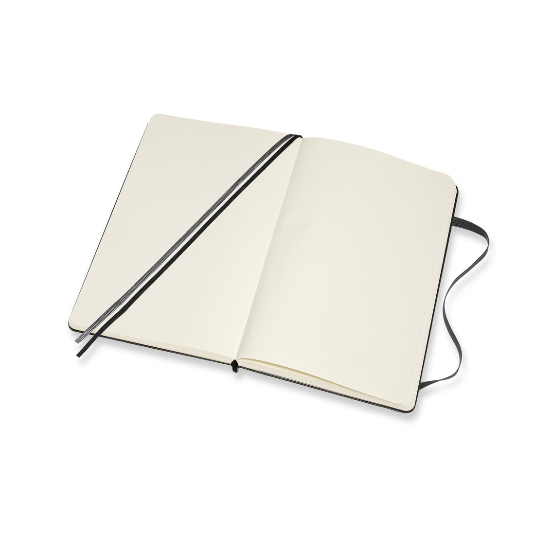 Moleskine Notebook Plain Expanded Version Large 13x21 Black Hard Cover