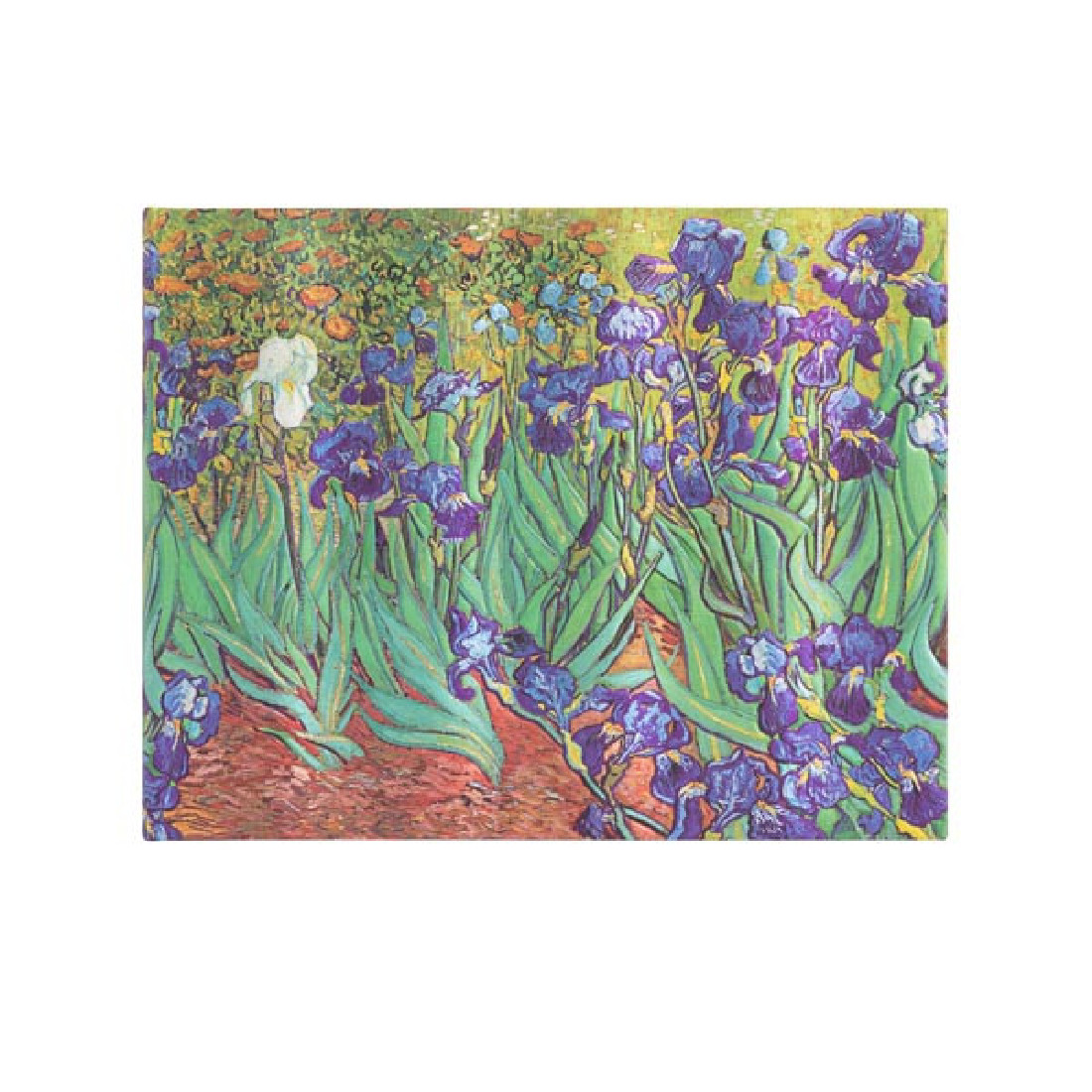 Notebook Guest Book Van Gogh Irises Unlined Paperblanks