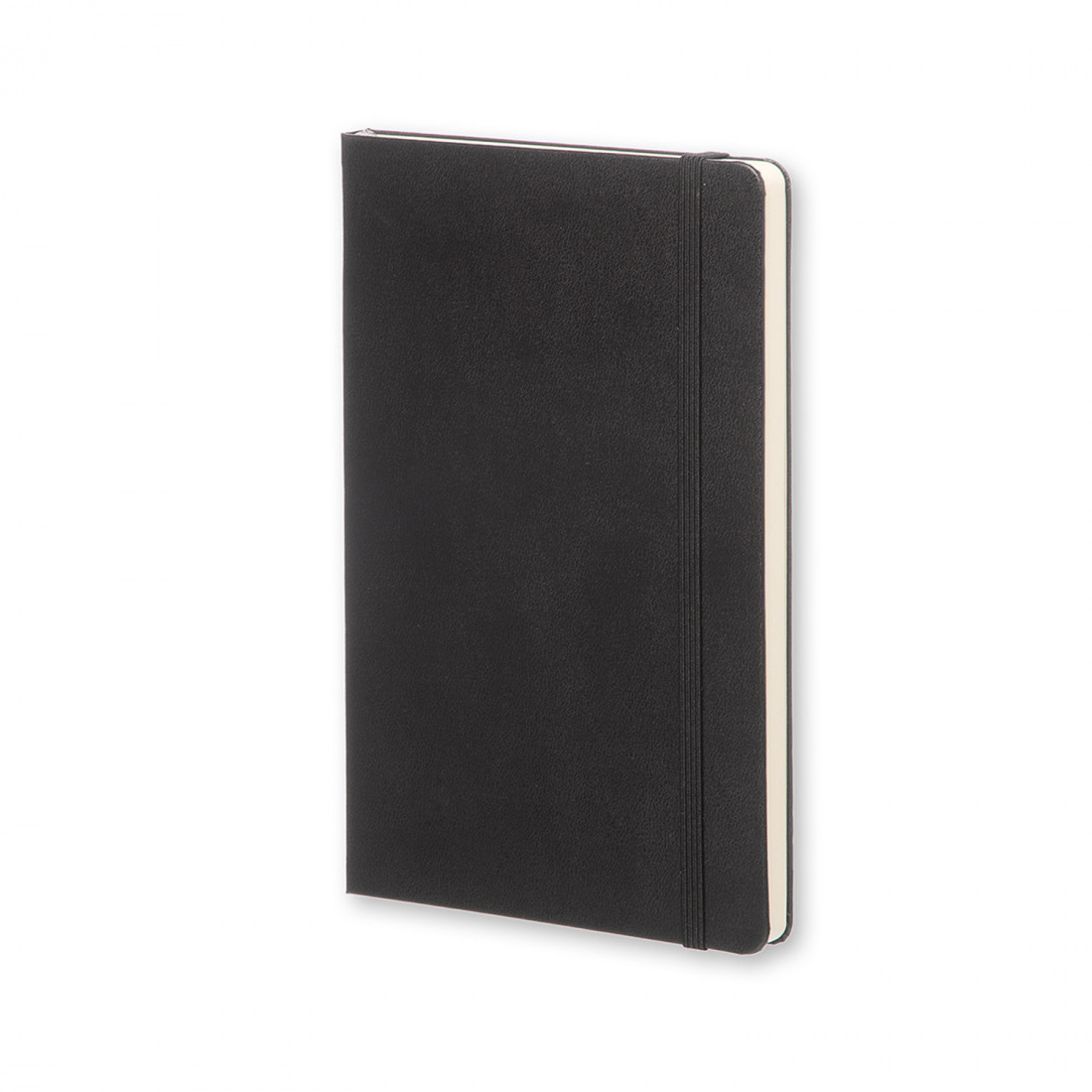 Notebook Large 13x21 Dotted Black Hard Cover Moleskine