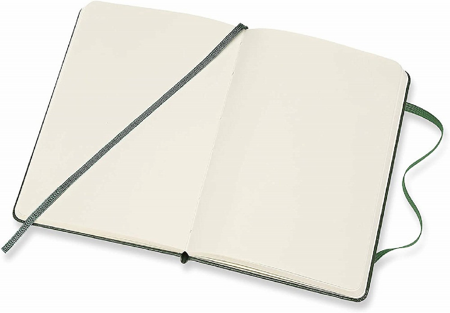 Notebook Extra Large 19x25 Plain Myrtle Green Hard Cover, Moleskine