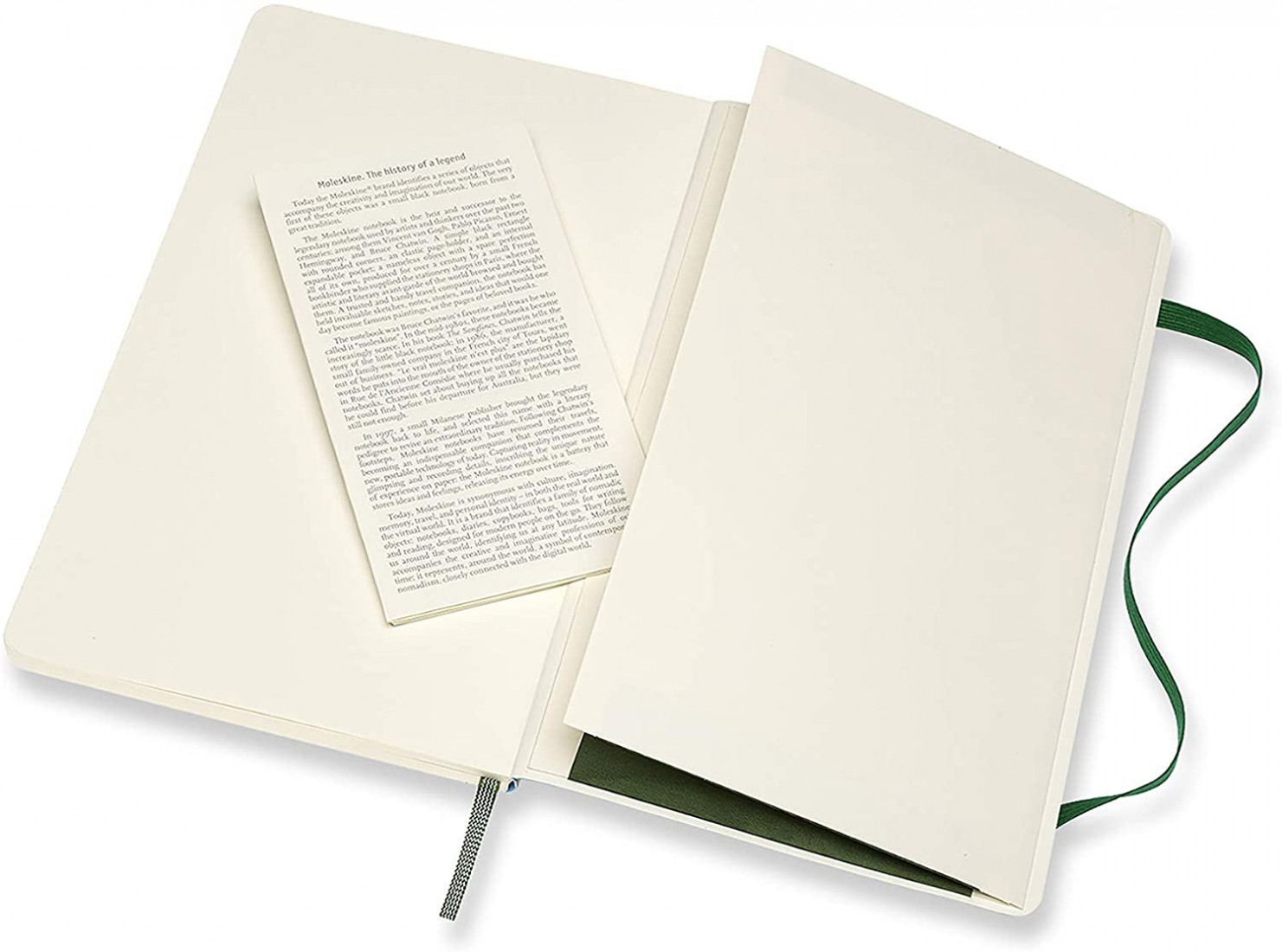 Notebook Extra Large 19x25 Plain Myrtle Green Hard Cover, Moleskine