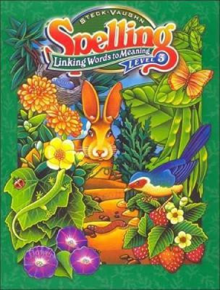 Spelling Linking Words to Meaning Level 3