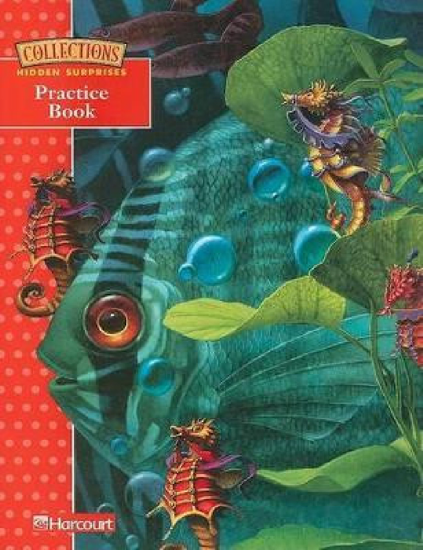 COLLECTIONS HIDDEN SURPRISES GRADE 3.1 PRACTICE BOOK PB