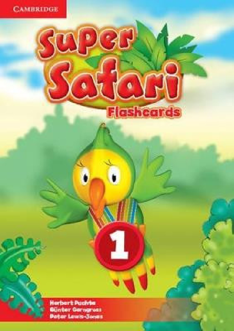 SUPER SAFARI 1 FLASHCARDS