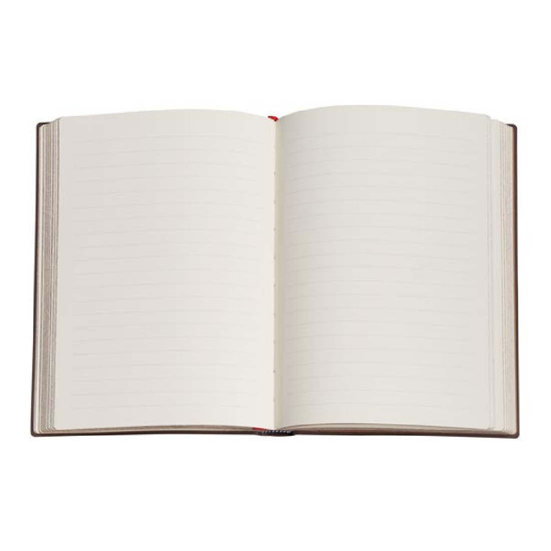 Paerblanks notebook, midi 12x17,5cm, softcover flexis, lined, 176 pages, 100gsm,Michelangelo, Handwriting, 96368