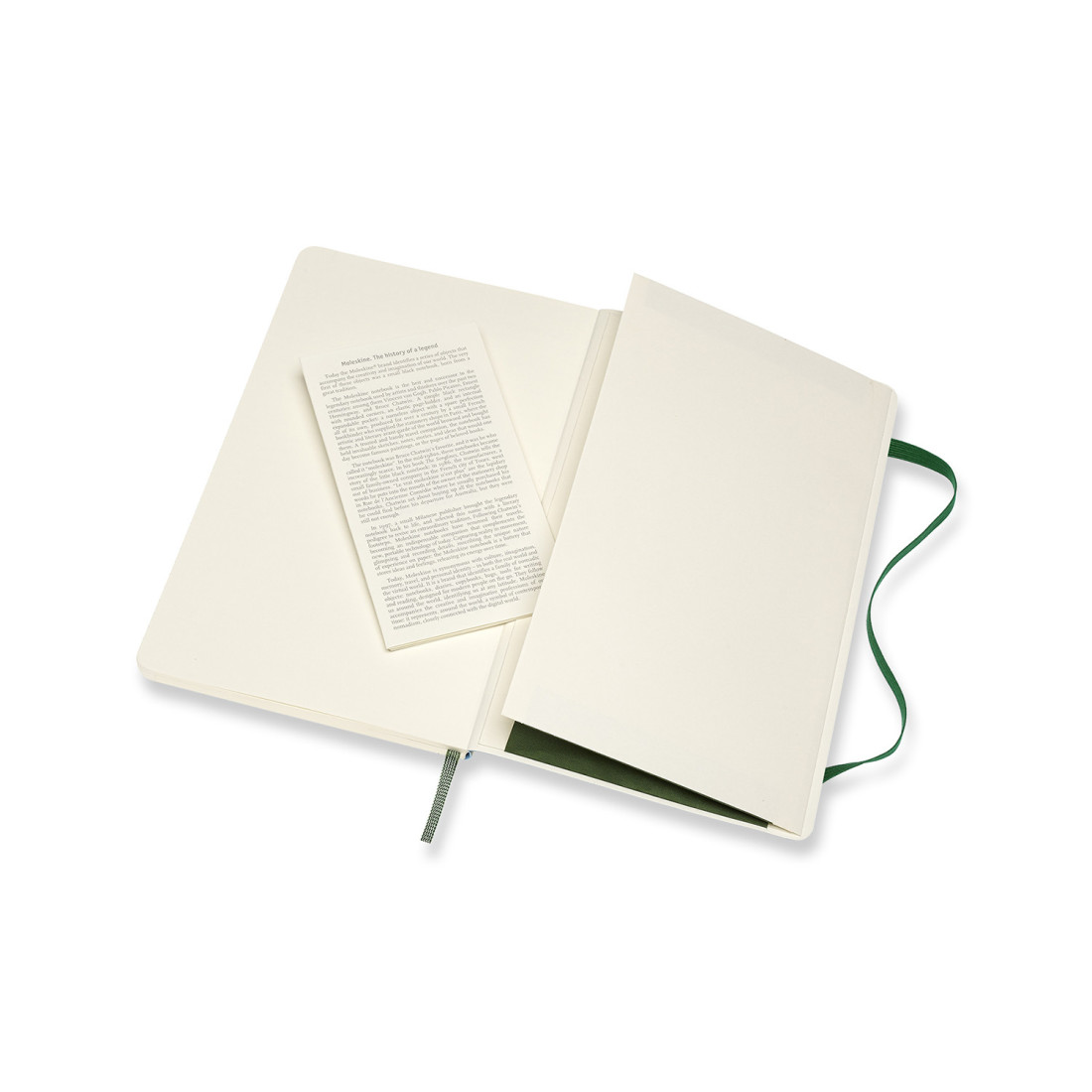 Moleskine Notebook Large 13x21 Ruled Myrtle Green Hard Cover