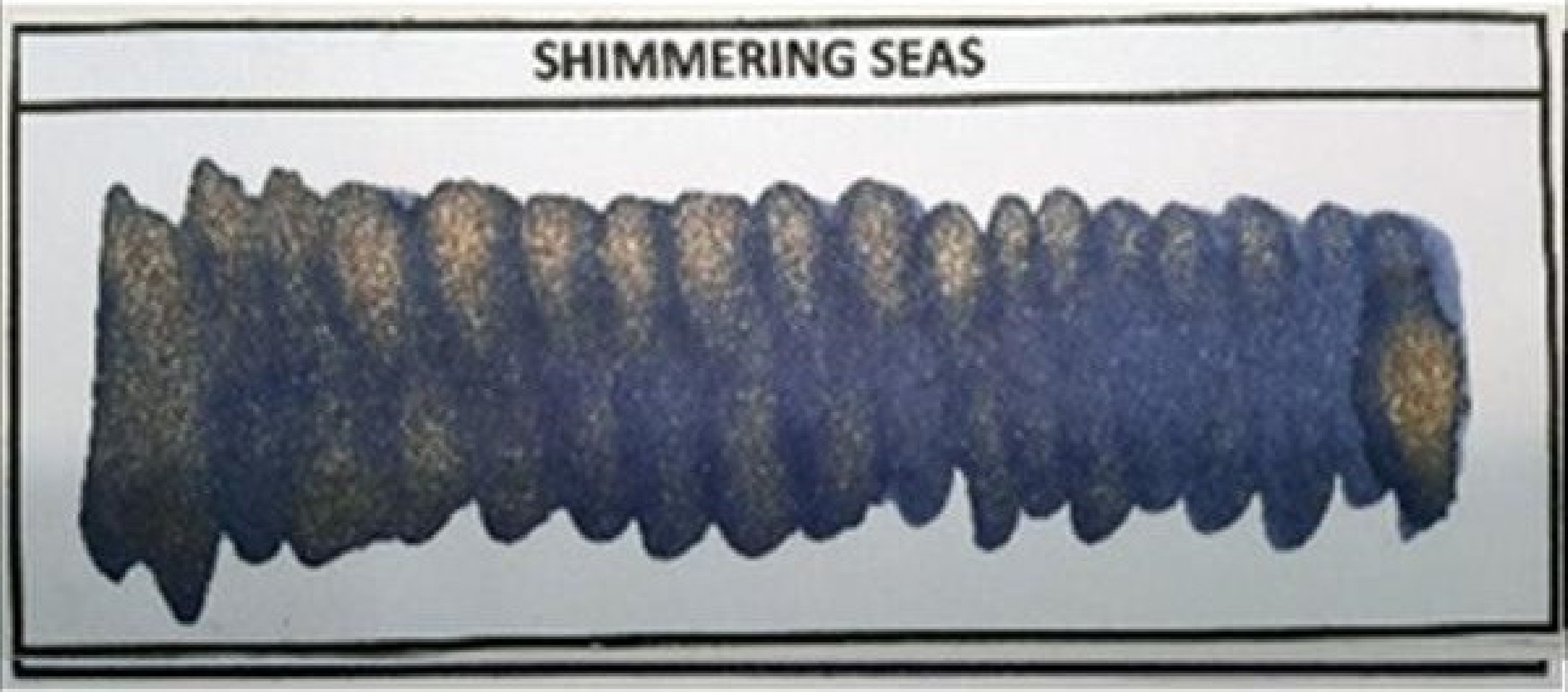 Diamine 50ml Shimmering Seas Fountain pen shimmer ink bottle