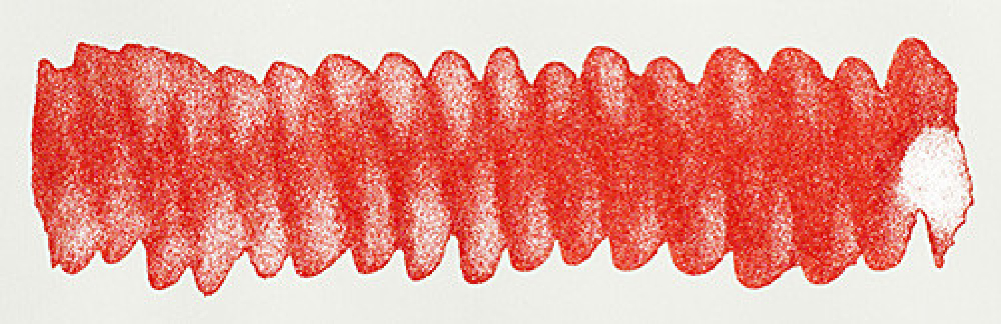 Diamine 50ml Firestorm red Fountain pen shimmer ink