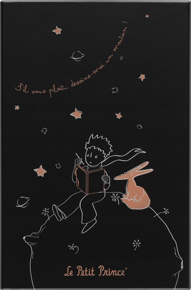 Moleskine Le Petit Prince Limited Edition Notebook Large 13x21, Hard Cover, Ruled, with Gift Box