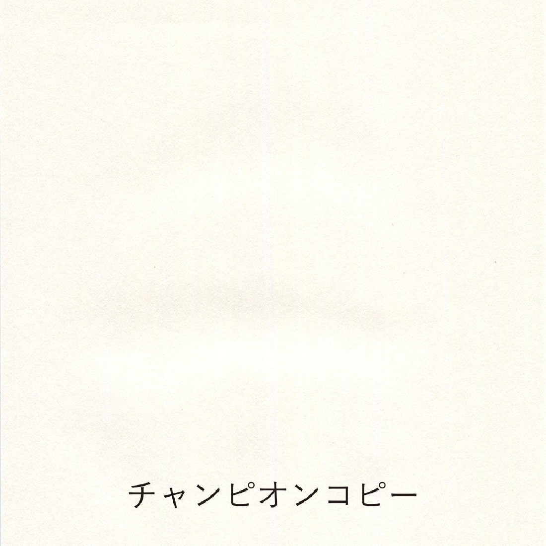 Yamamoto Paper tasting Thin paper to write on Pen Friendly Onionskin vol.2