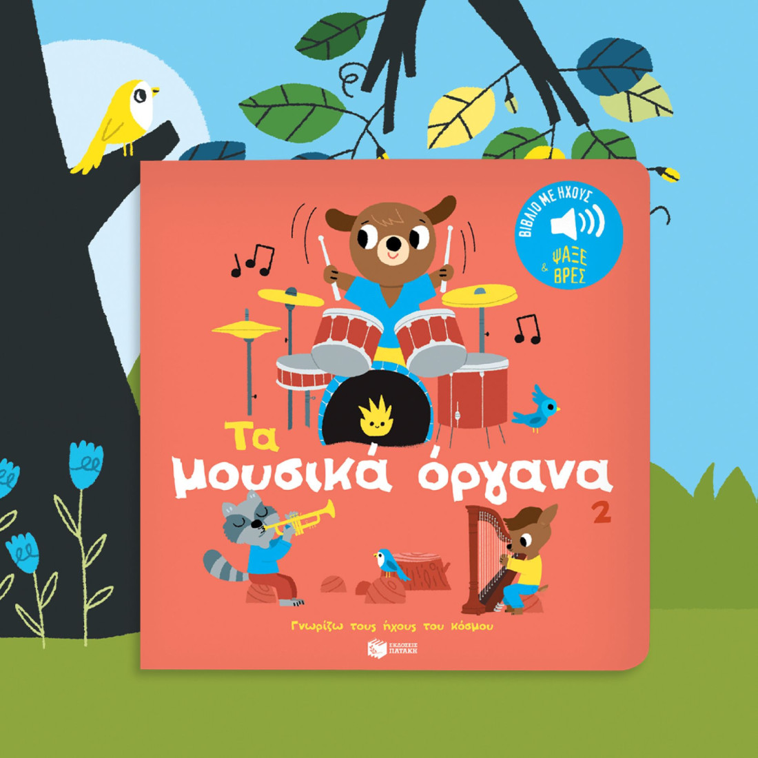 Γνωρίζω τους ήχους του κόσμου: Τα μουσικά όργανα  (Βιβλίο 2)
