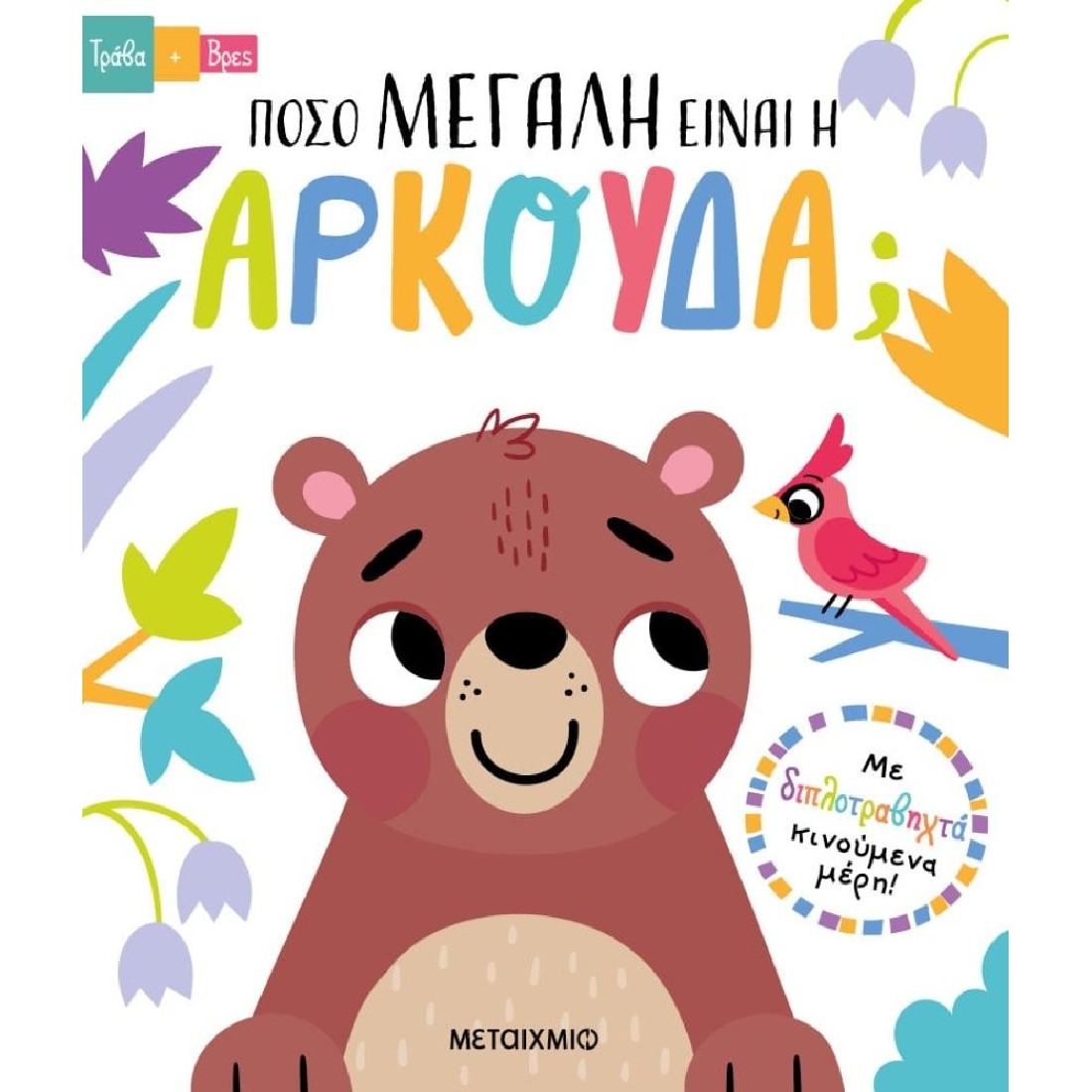 Τράβα και βρες: Πόσο μεγάλη είναι η αρκούδα;.