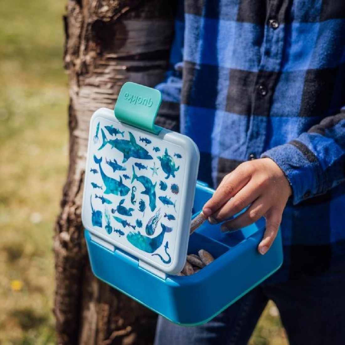 Πλαστικό Φαγητοδοχείο με Διαχωριστικό (3 θέσεις) Sea Animals 40254 Quokka Kids