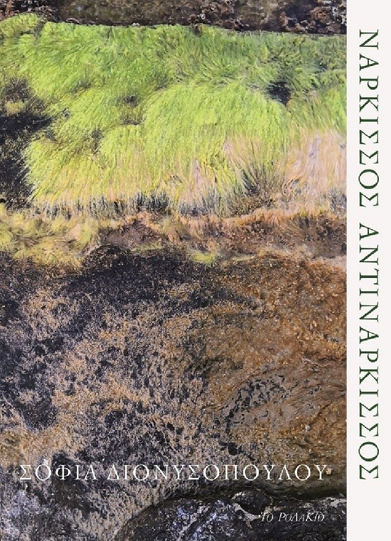 Νάρκισσος αντινάρκισσος