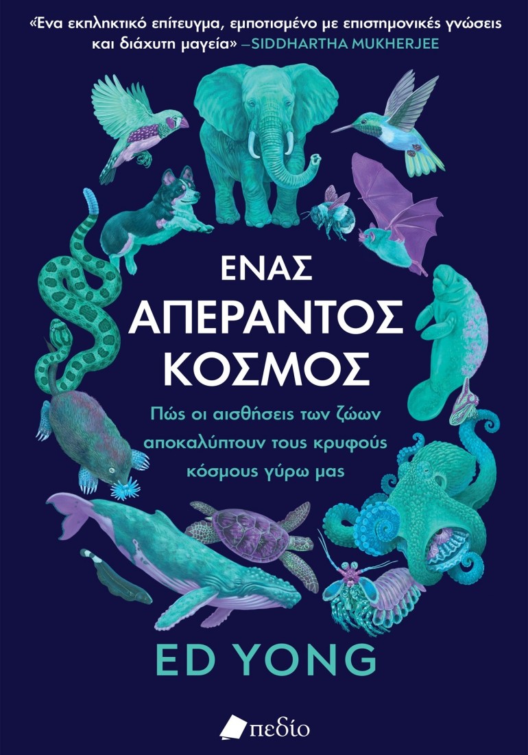 Ένας απέραντος κόσμος