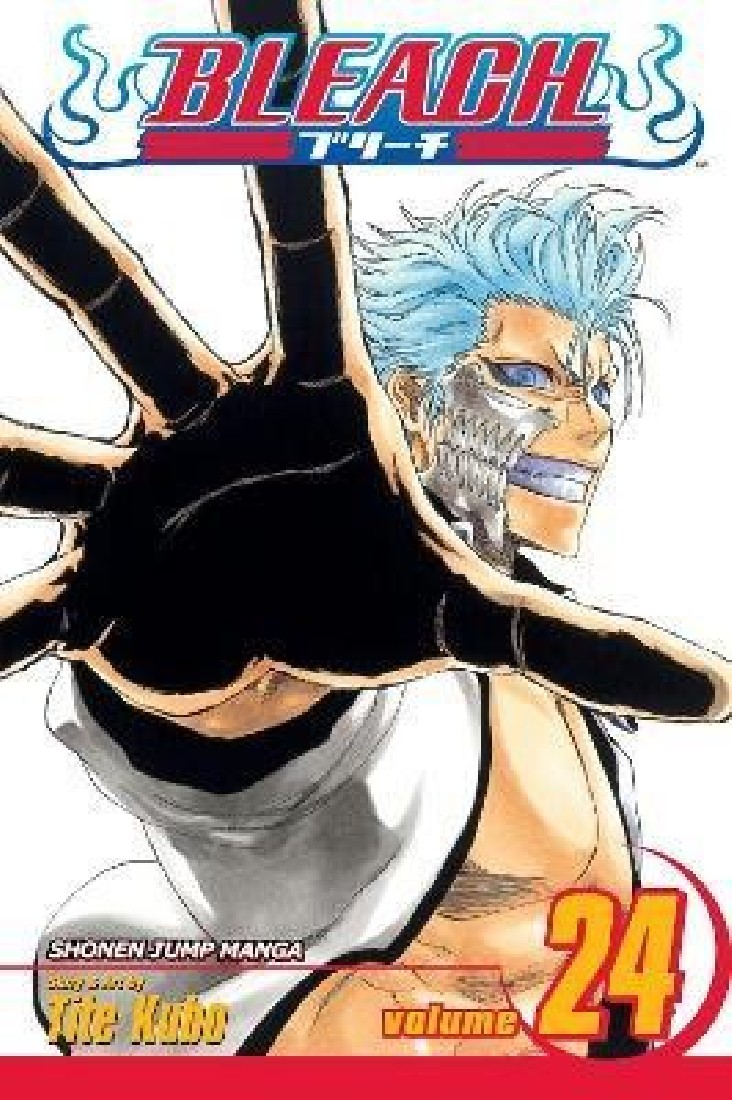BLEACH 24 PA